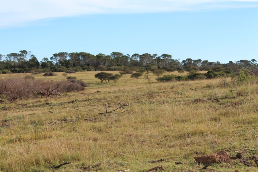 1 Bedroom Property for Sale in Bathurst Rural Eastern Cape